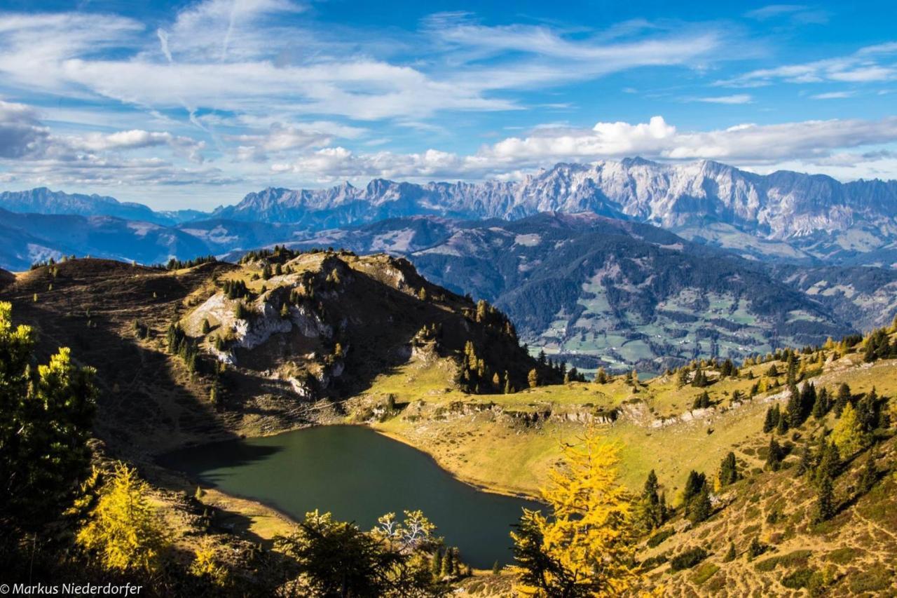 Casa Alpina Villa Goldegg Dış mekan fotoğraf